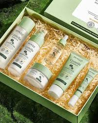 kit facial Bioaqua centella