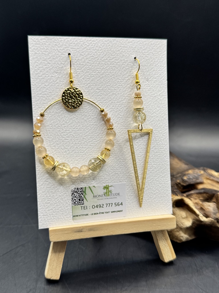 Boucles d'oreilles fantaisie