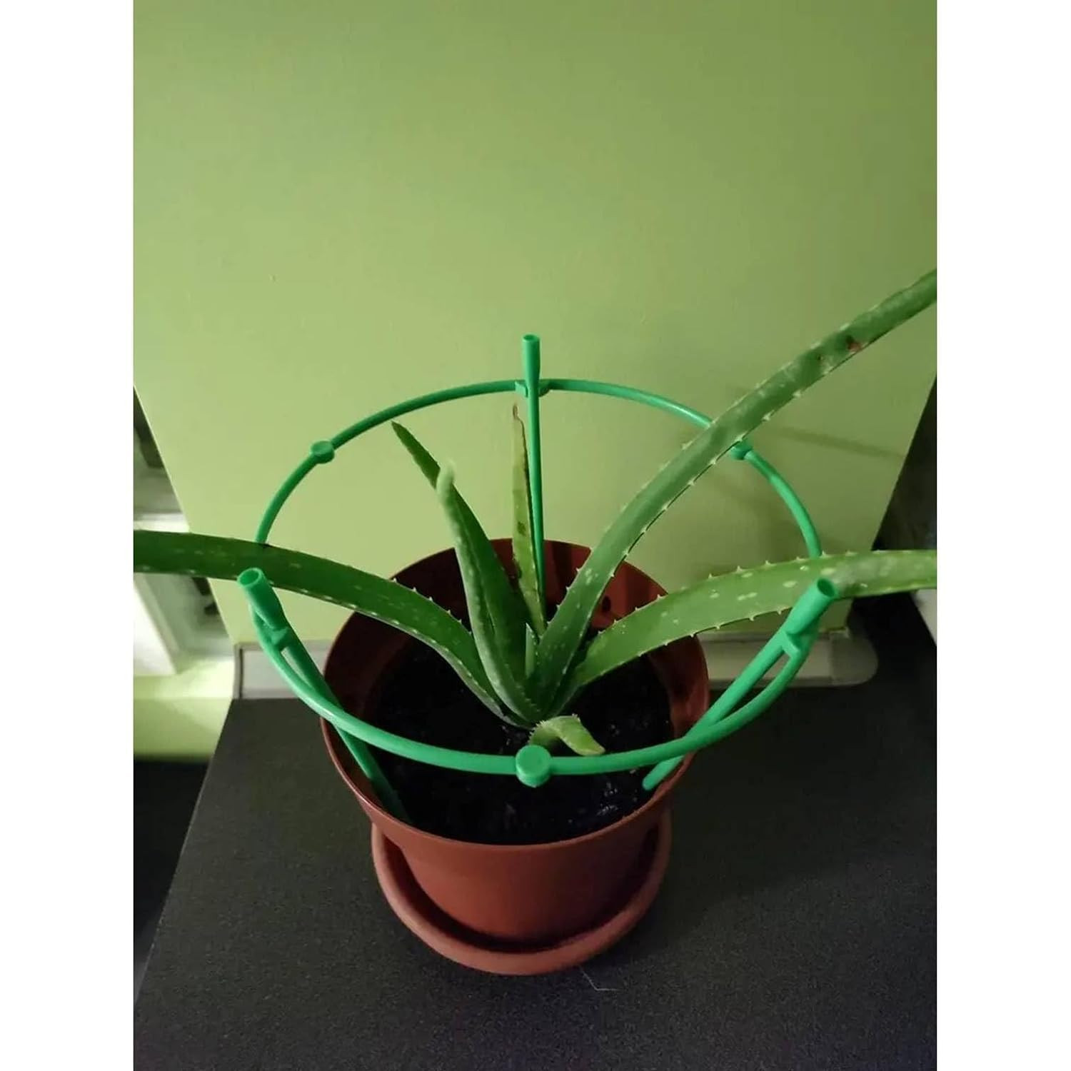 Plant Supporter Device