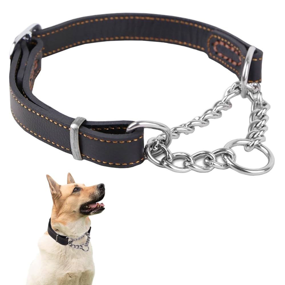 Collar de adiestramiento para perro
