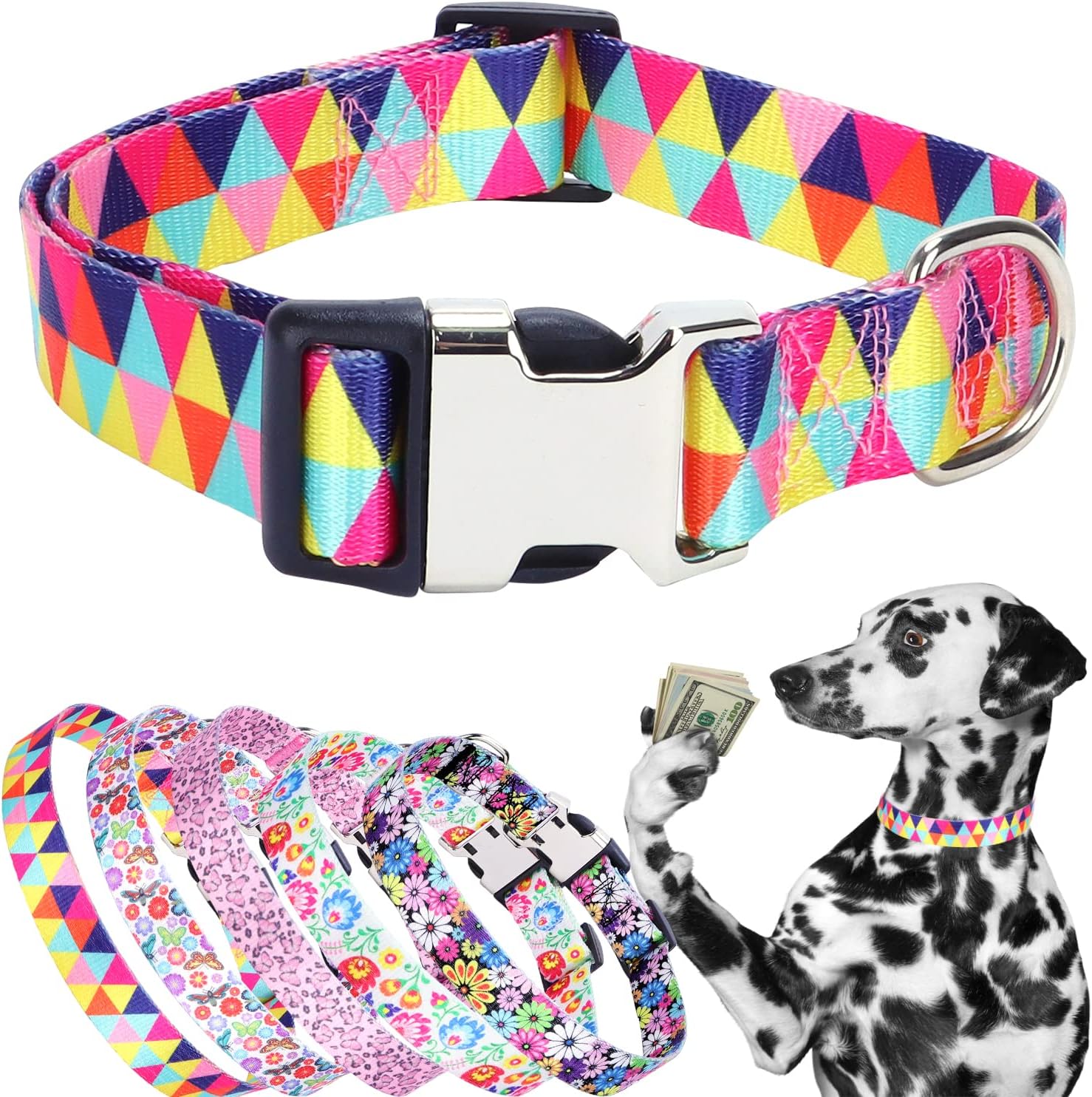 Collar colorido para perros