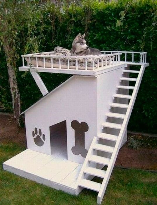 Casa para perros de dos niveles