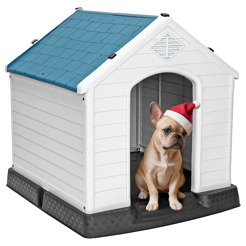 Casa para perro
