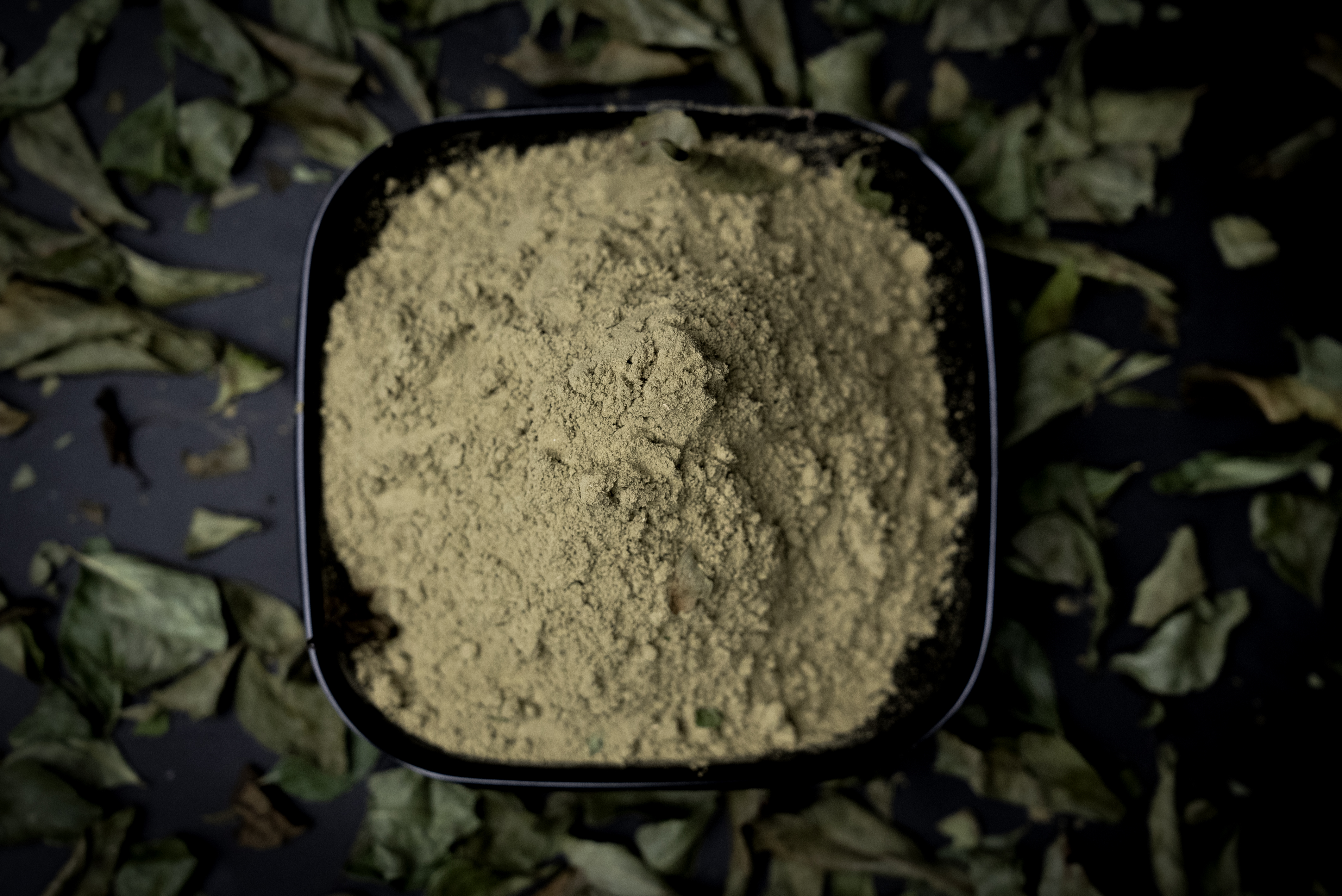 CURRY LEAVES POWDER/ KARIVEPAKU PODI 250GMS 