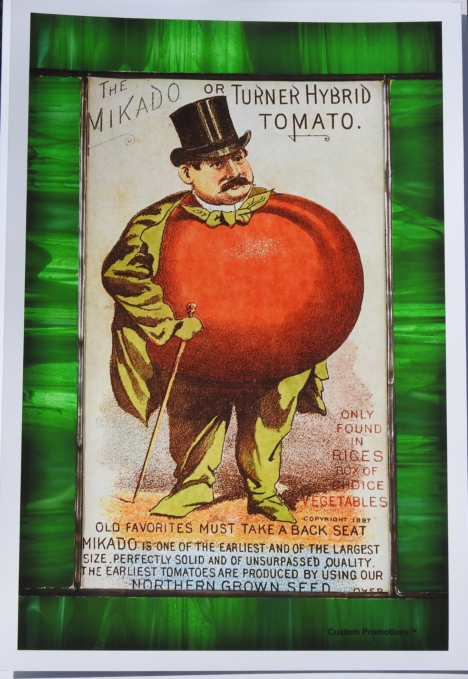 Mr. Mikado