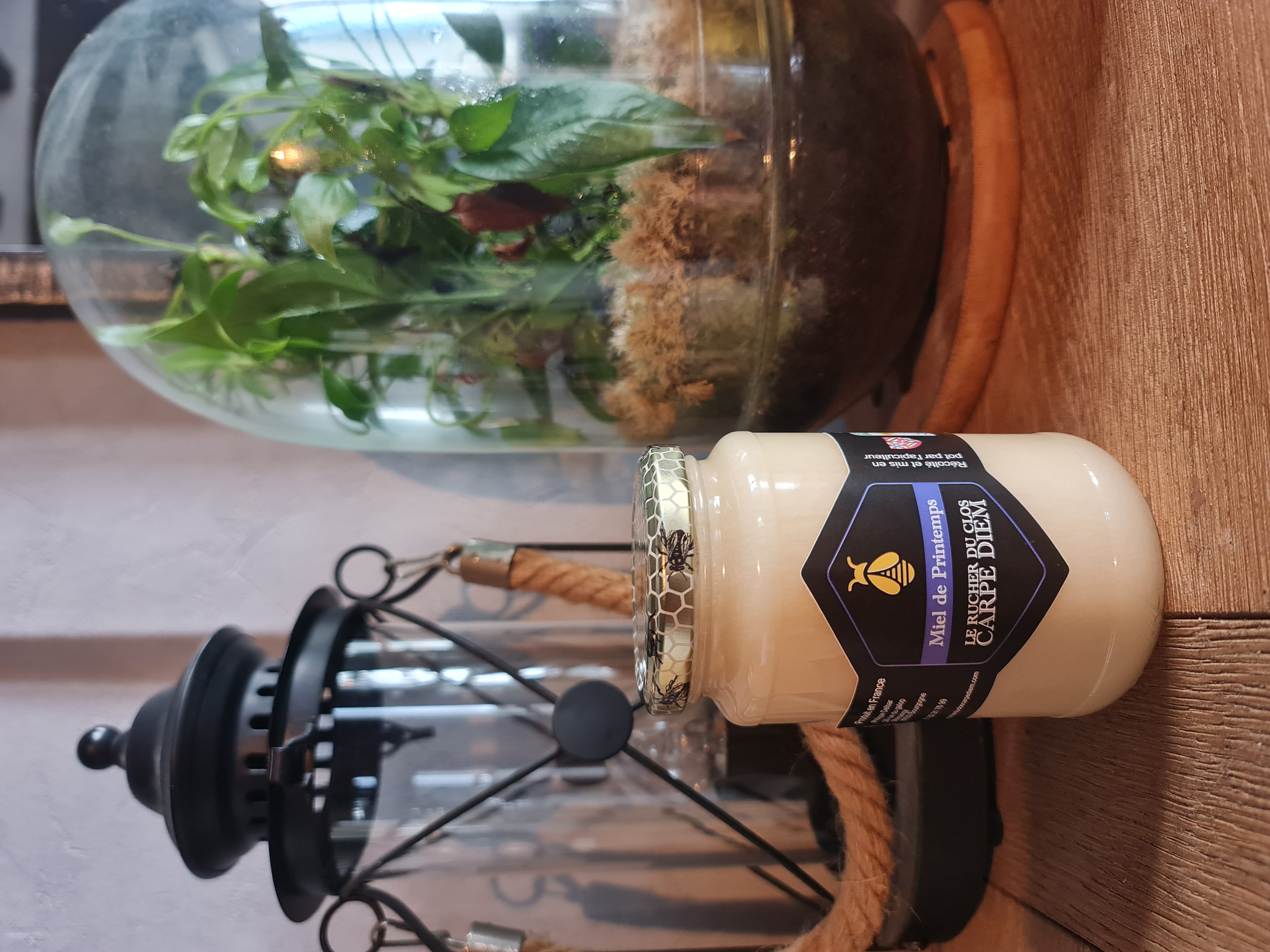 Miel de printemps 2025