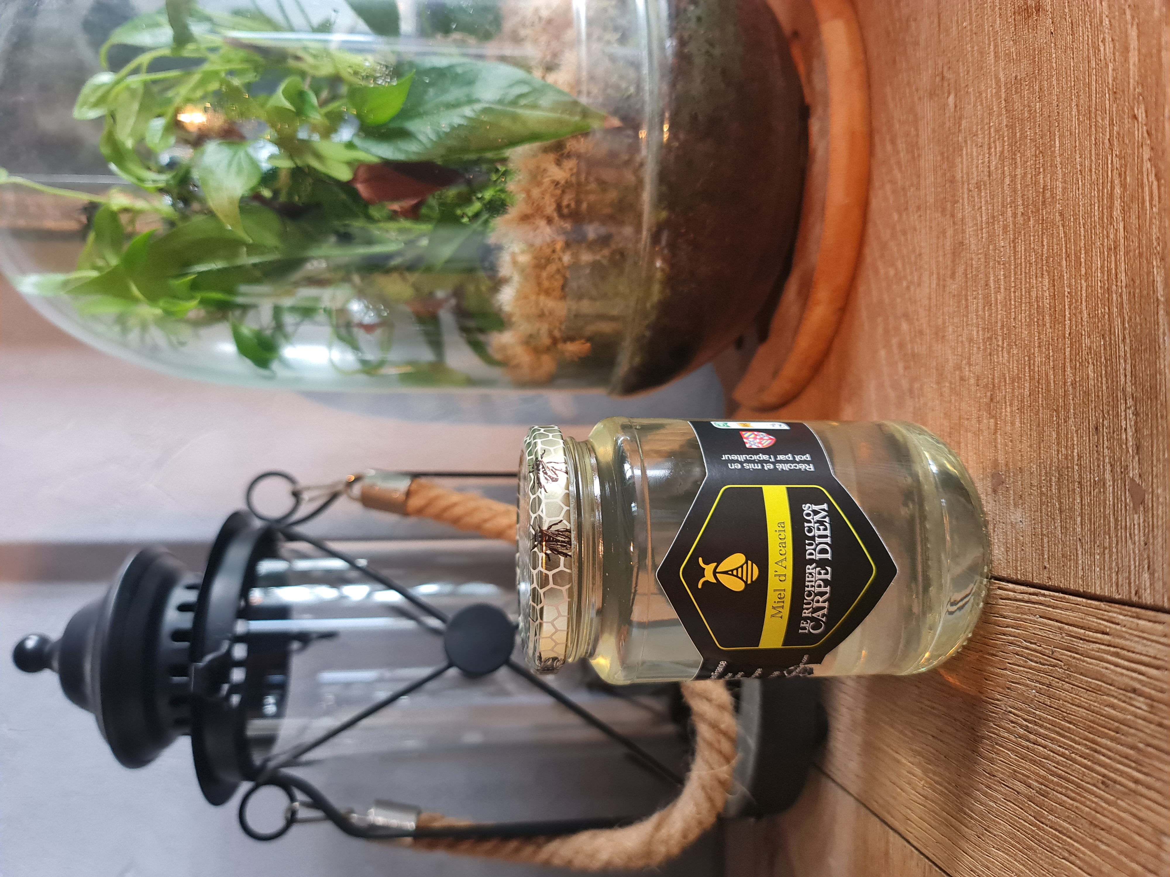 Miel Pur acacia 2025