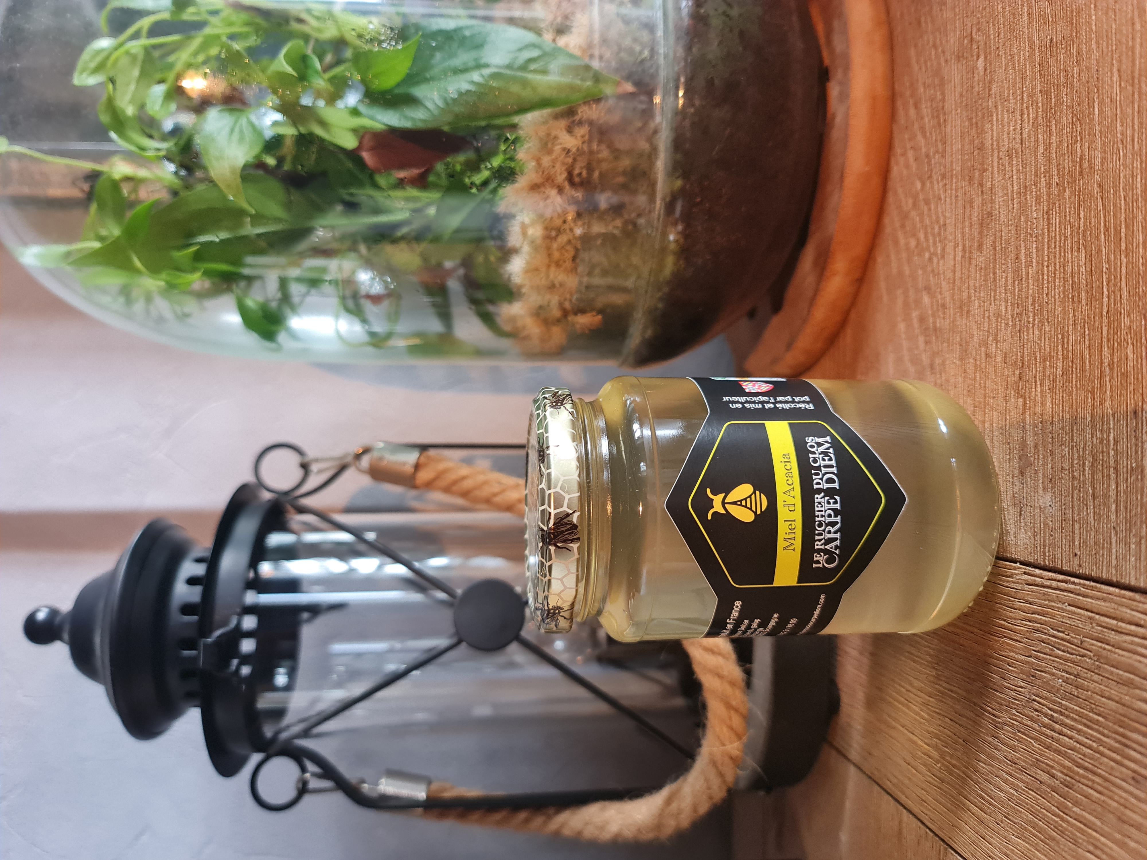 Miel d’acacia 2025