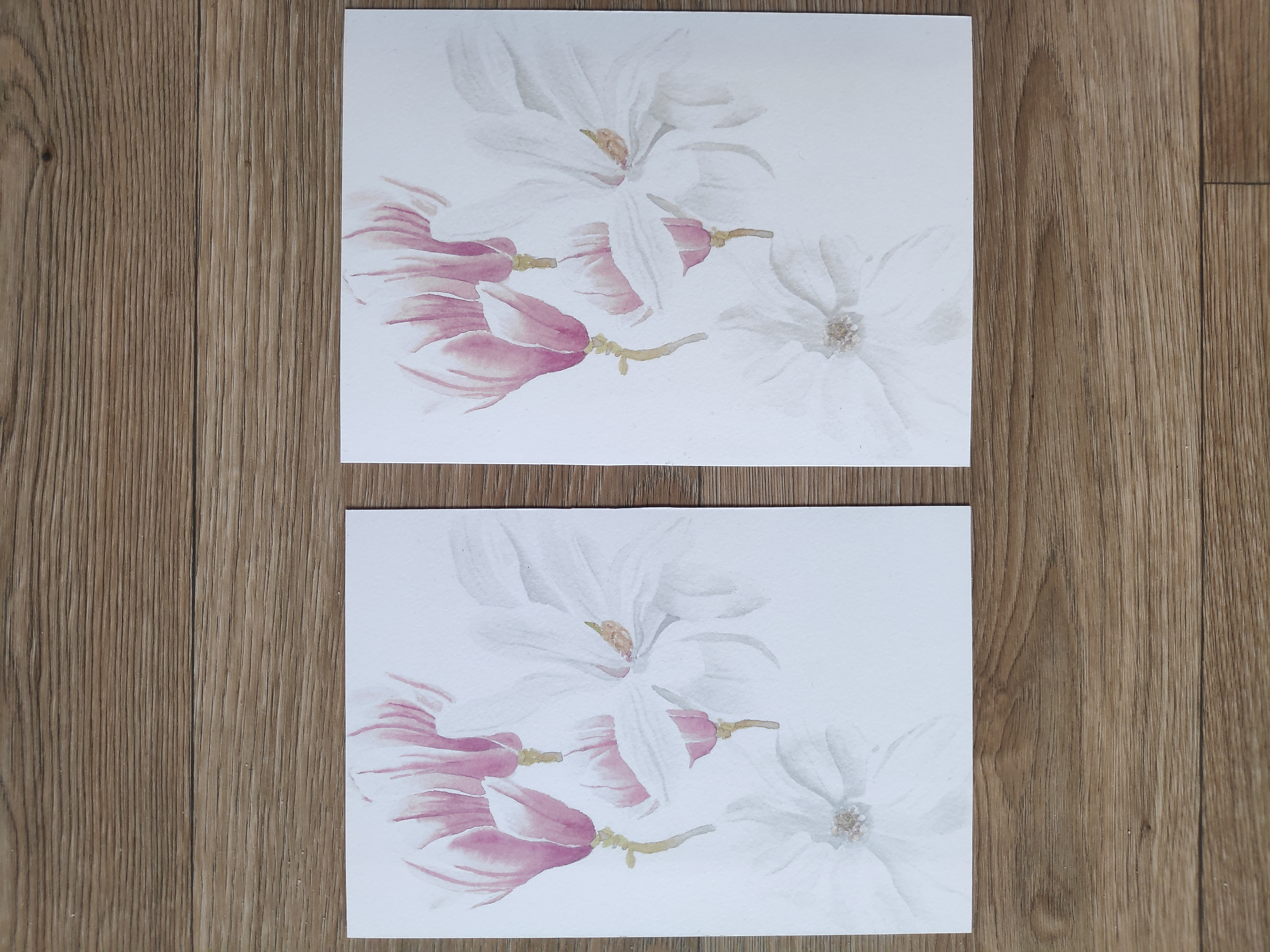 Magnolia en fleur - Reproduction