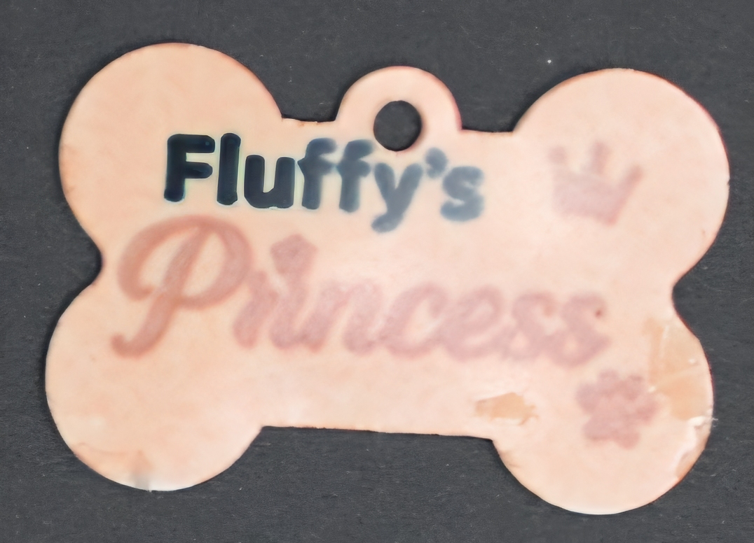 Dog Collar Tags