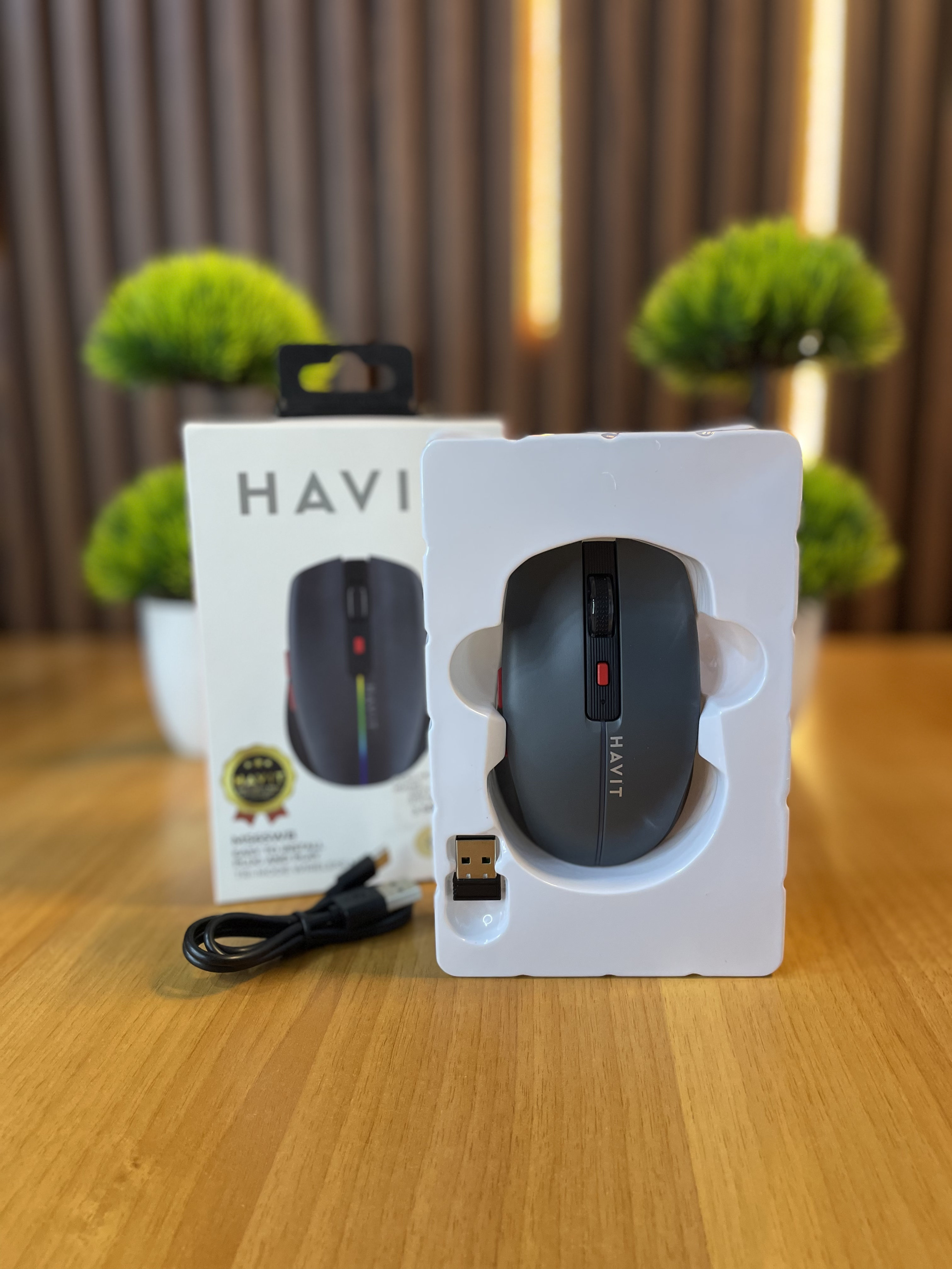 Havit mouse MS65WB