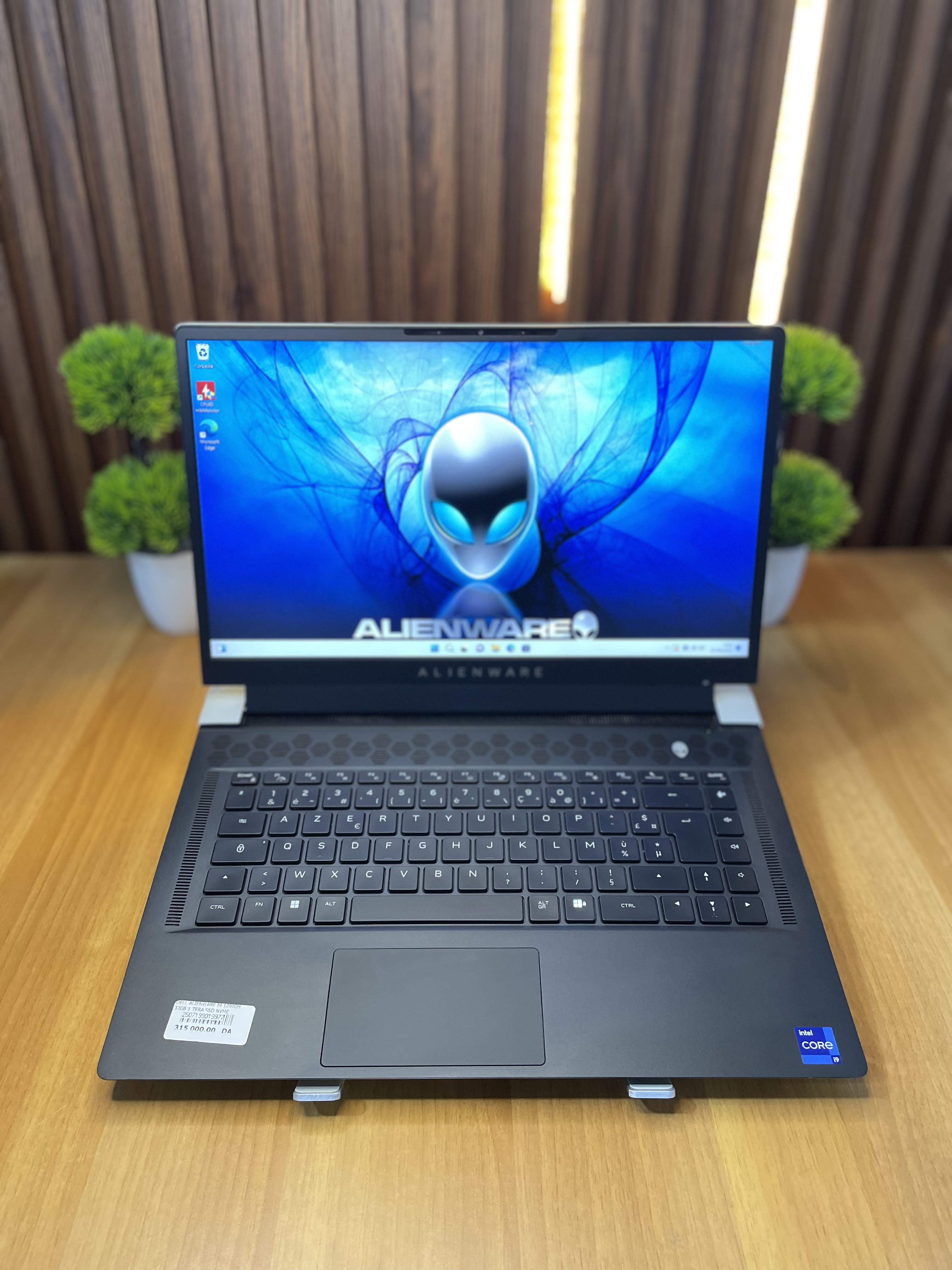 DELL Aleinware p111f