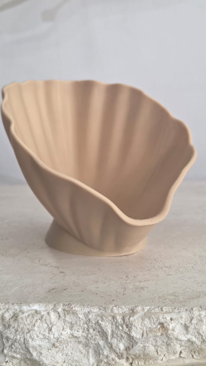 Shell Bowl