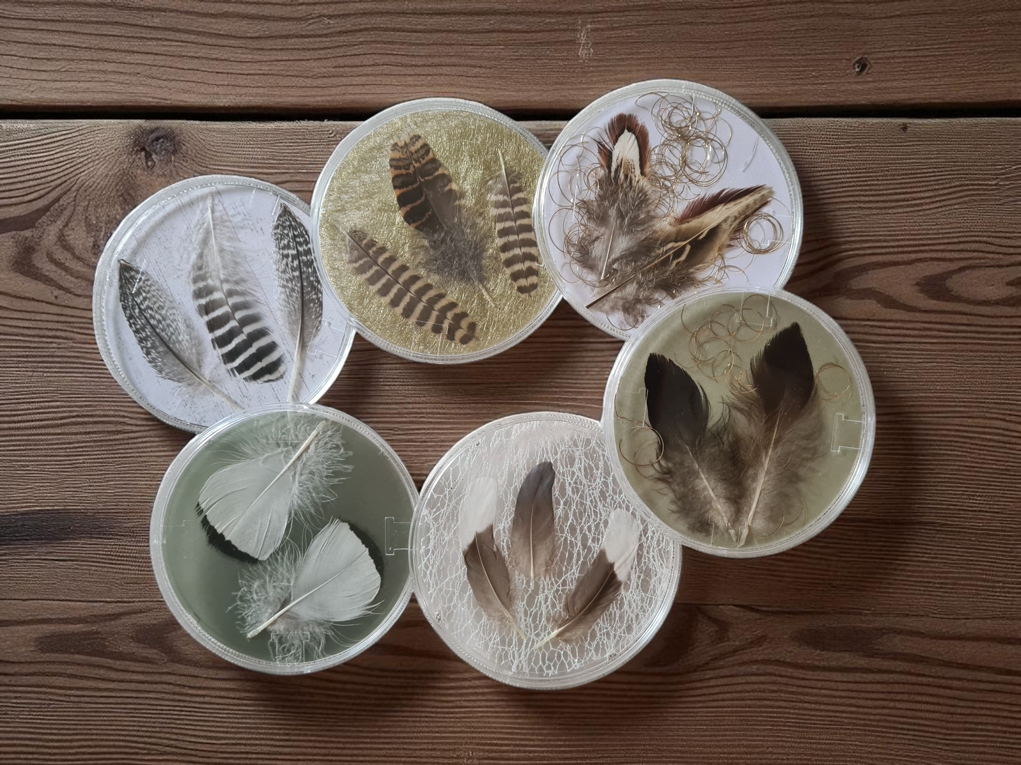 Dessous de verre avec plumes naturelles