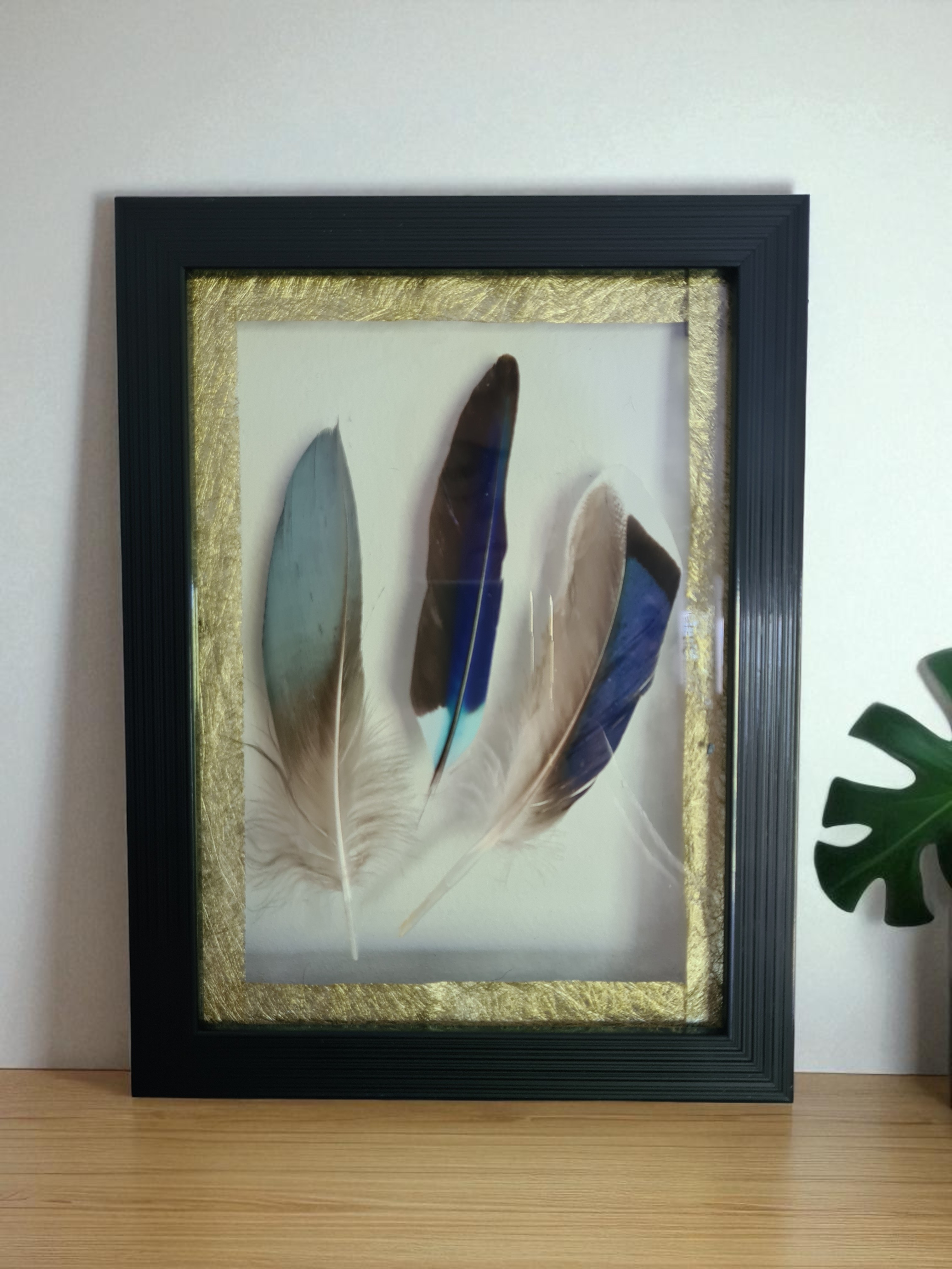 Transparente & Harmonie