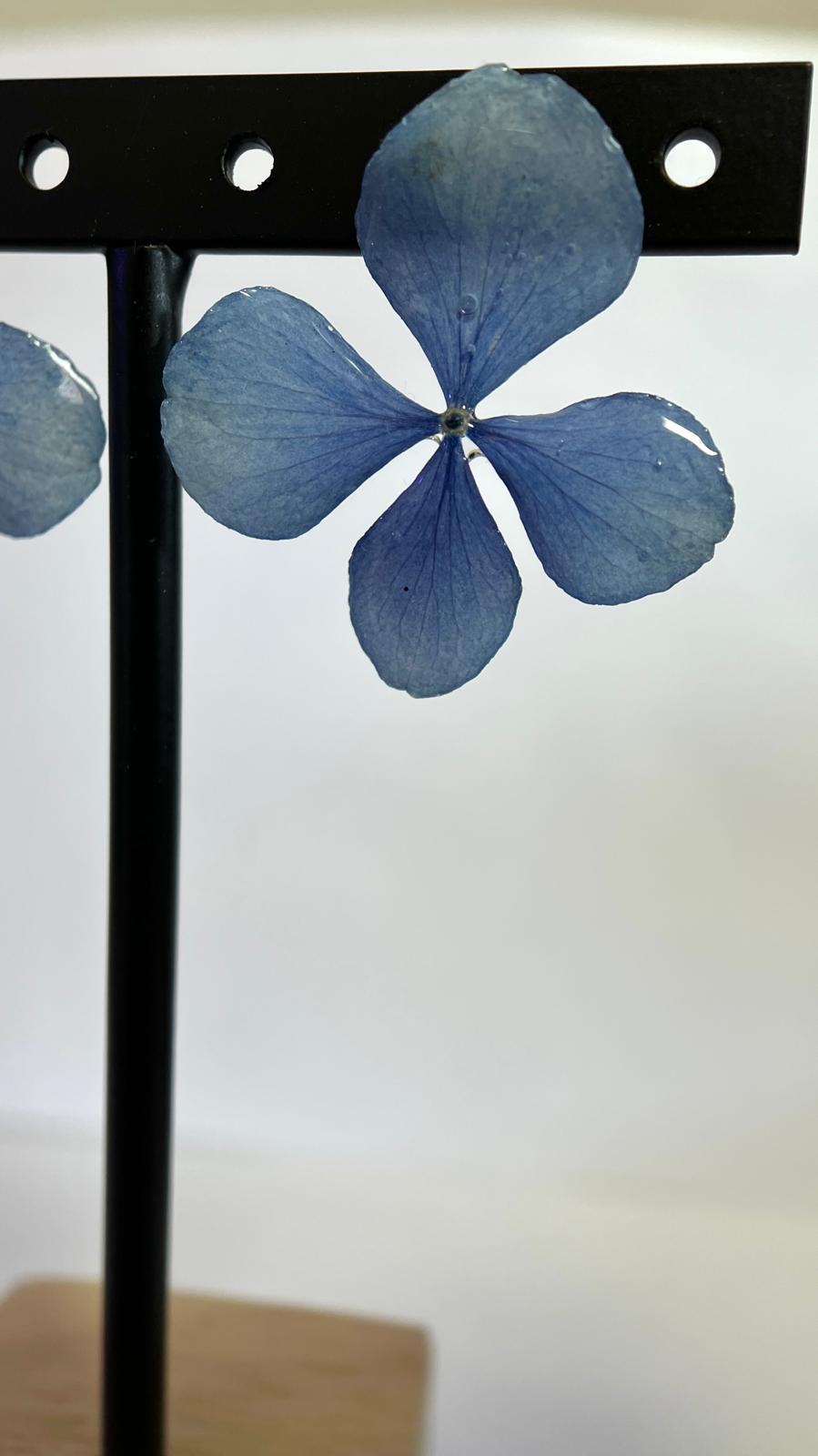 Pretty - Hortensia azul 