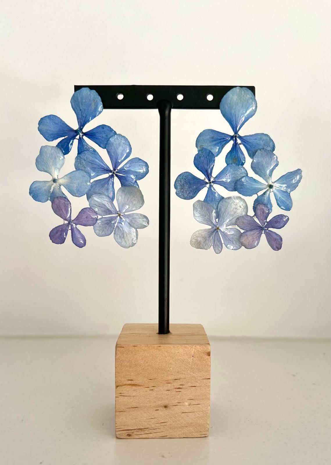 Flowers - Hortensias de colores