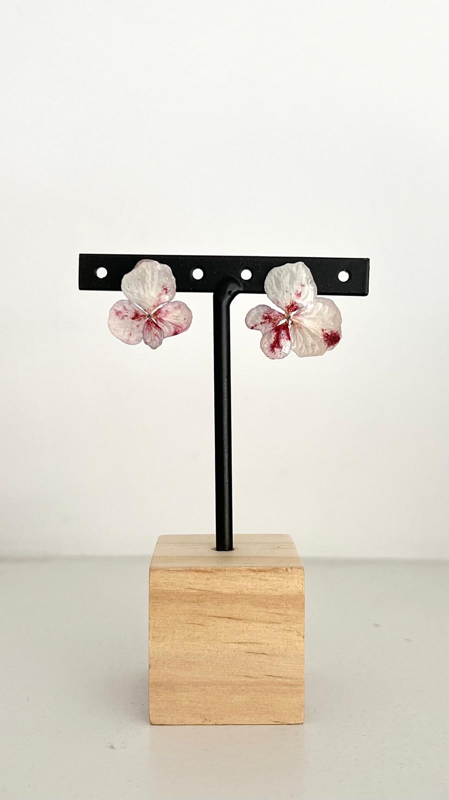 Pretty - Hortensia moteada