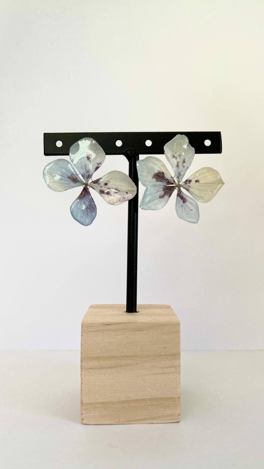 Pretty - Hortensia especial