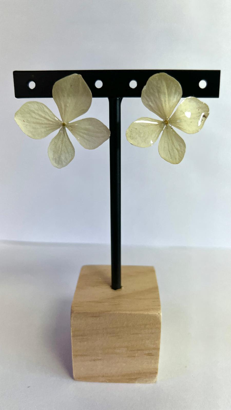 Pretty - Hortensia verde