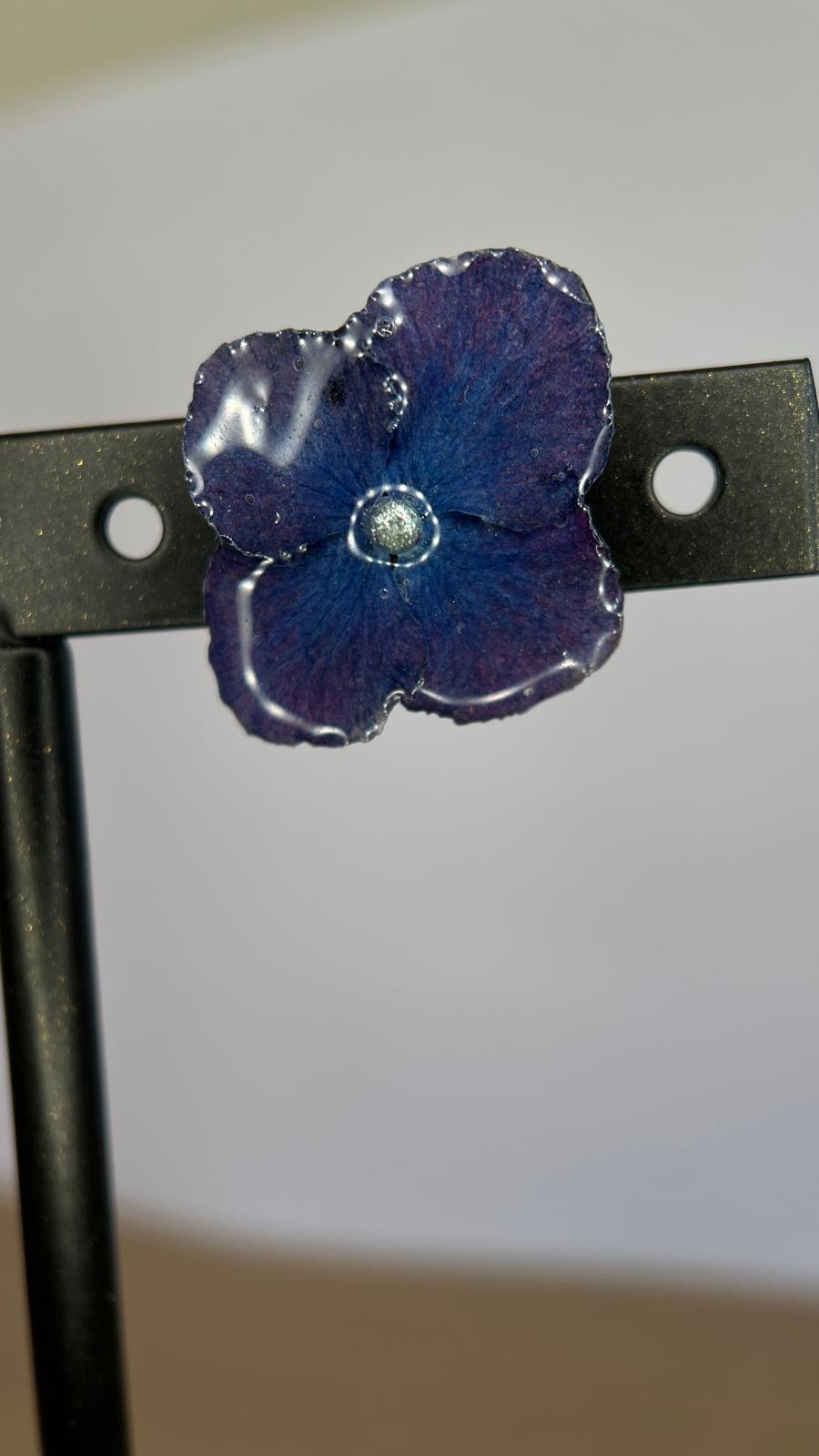 Pretty - Hortensia zafiro 