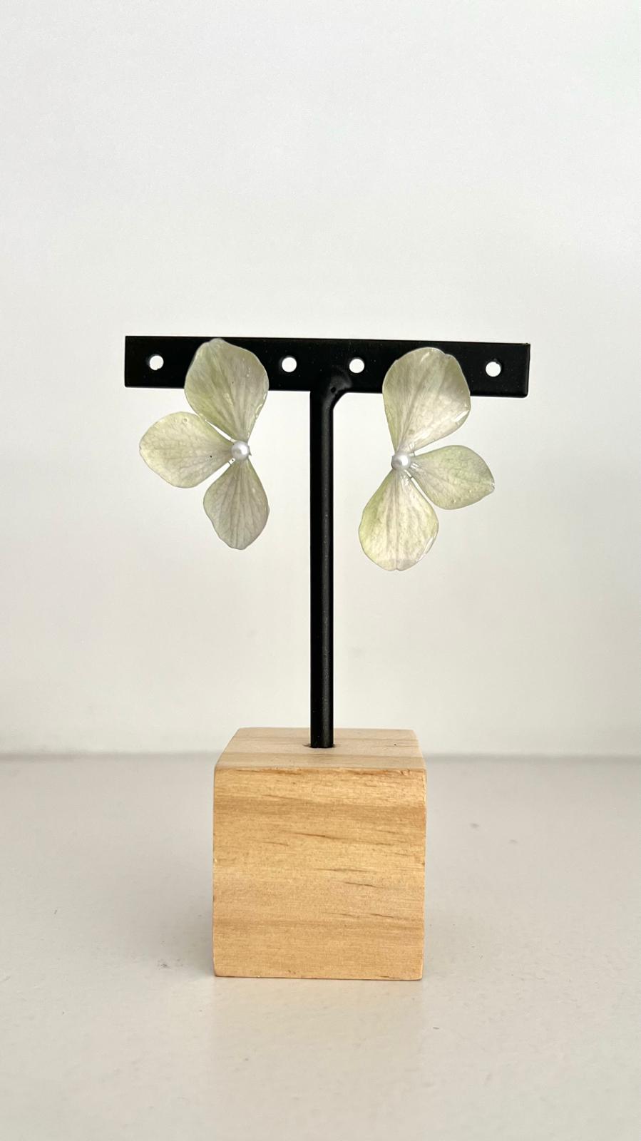 Lonely - Hortensia verde