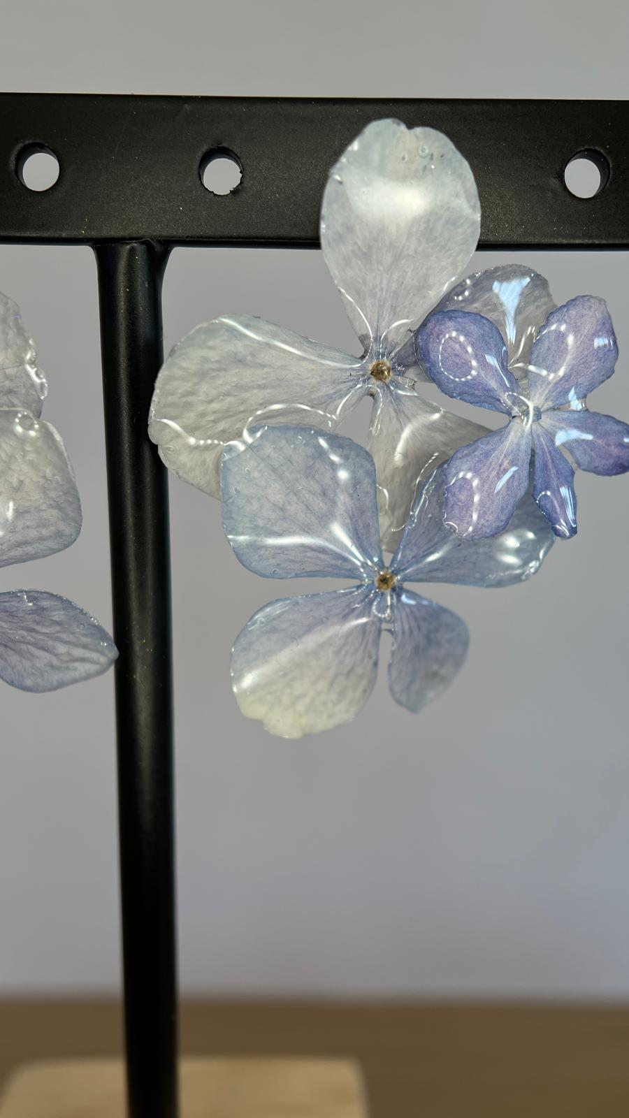 Grace - Hortensia aguamarina 