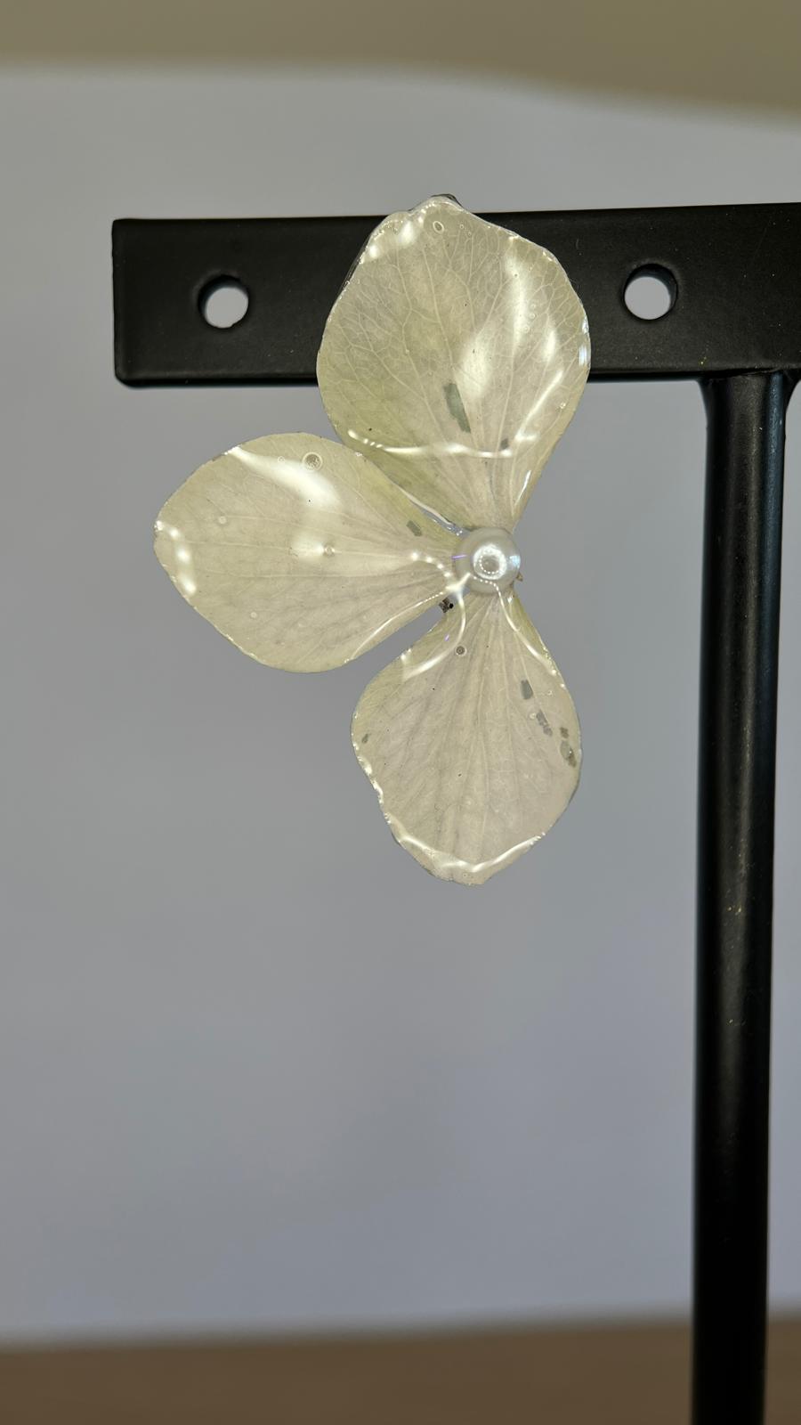 Lonely - Hortensia verde  