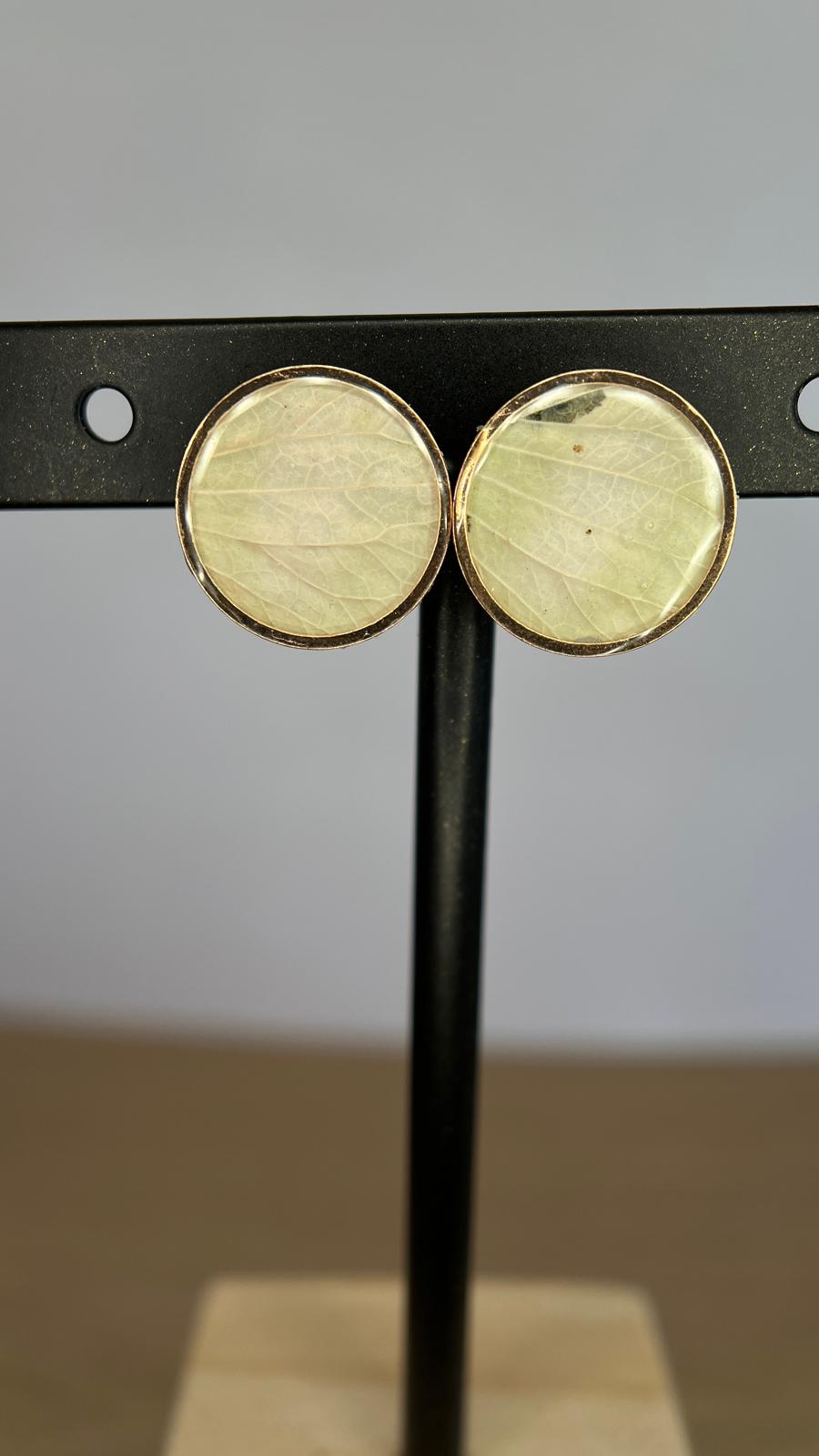 Unique - Hortensia verde 