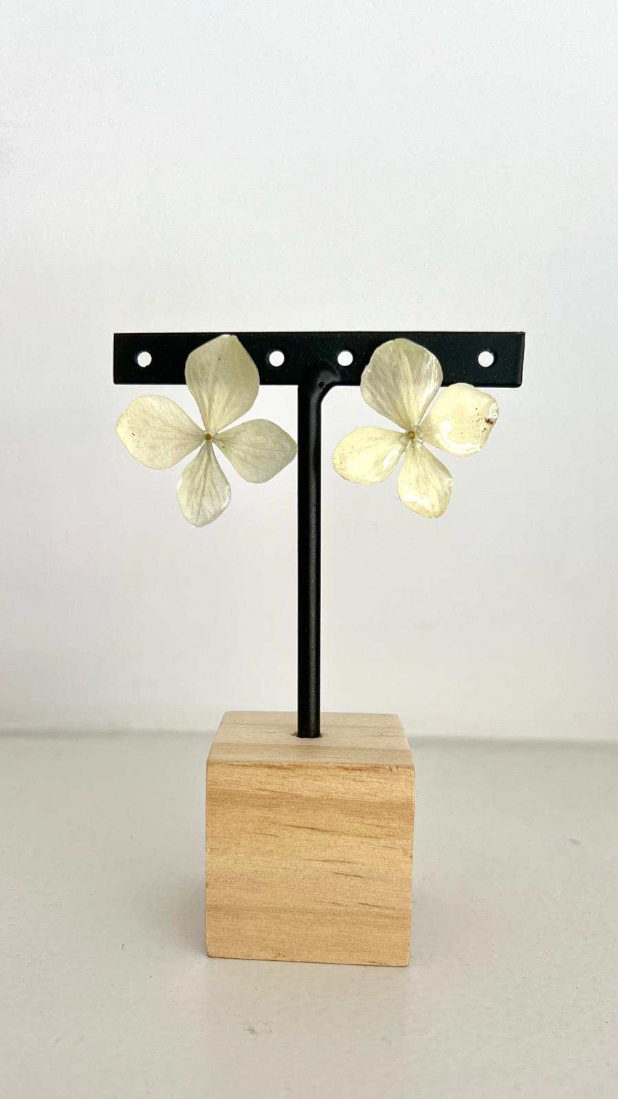 Pretty - Hortensia verde