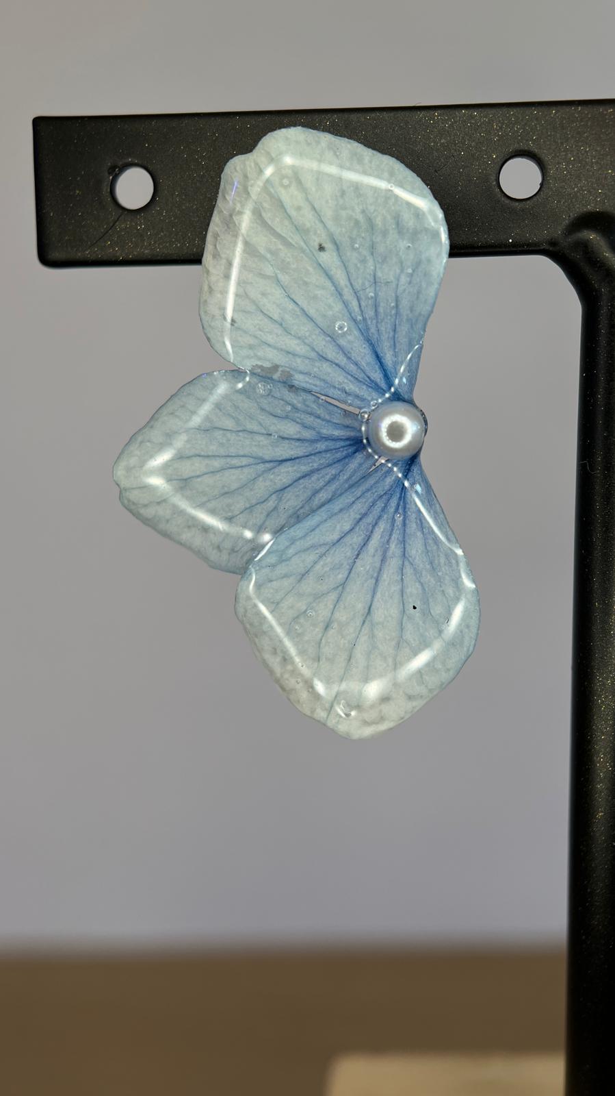 Lonely - Hortensia azul celeste 