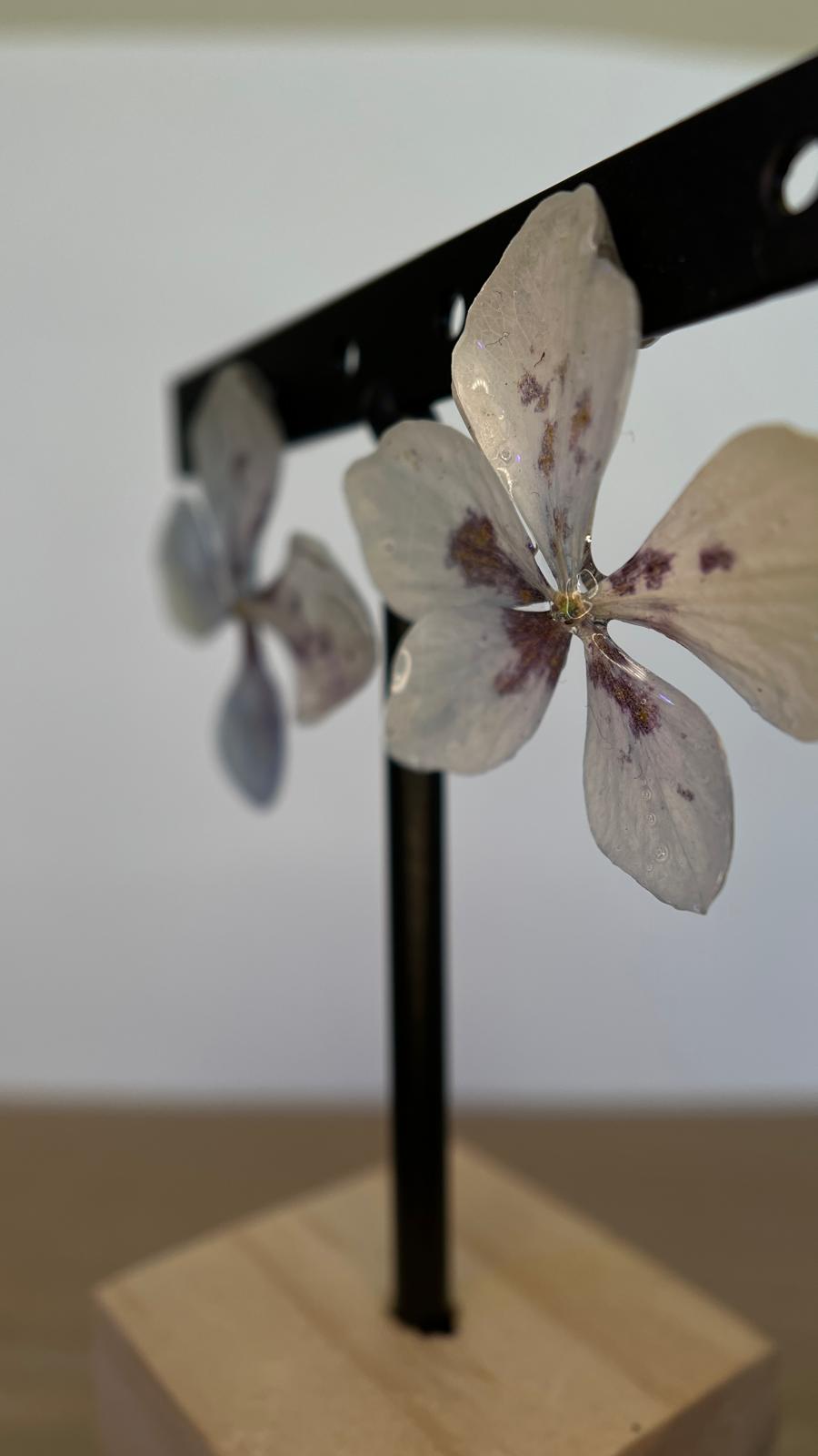 Pretty - Hortensia especial 