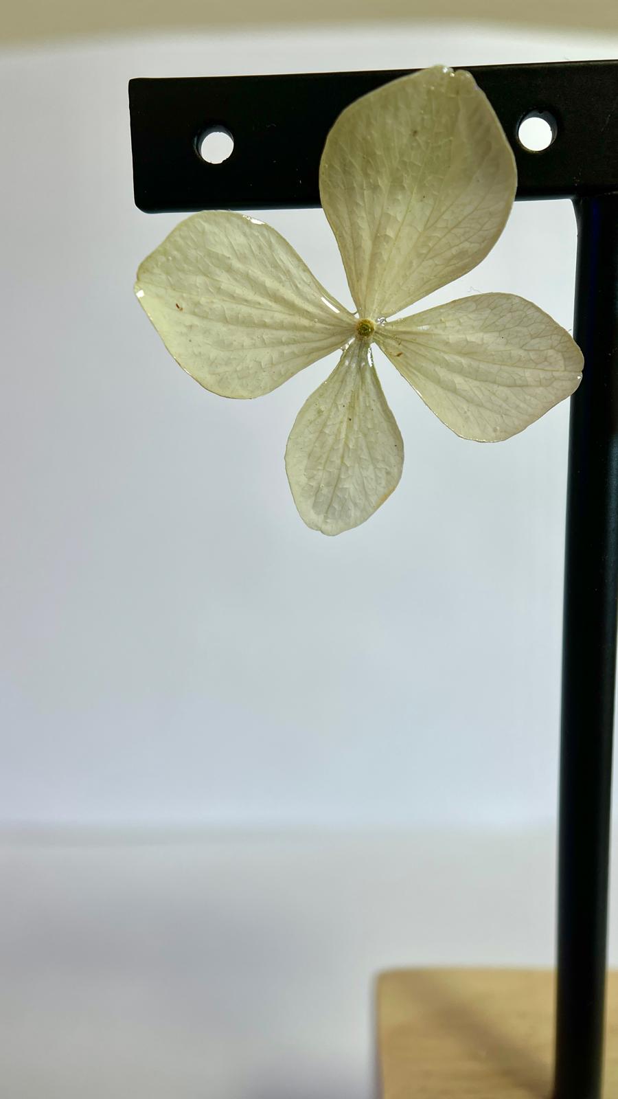 Pretty - Hortensia verde 