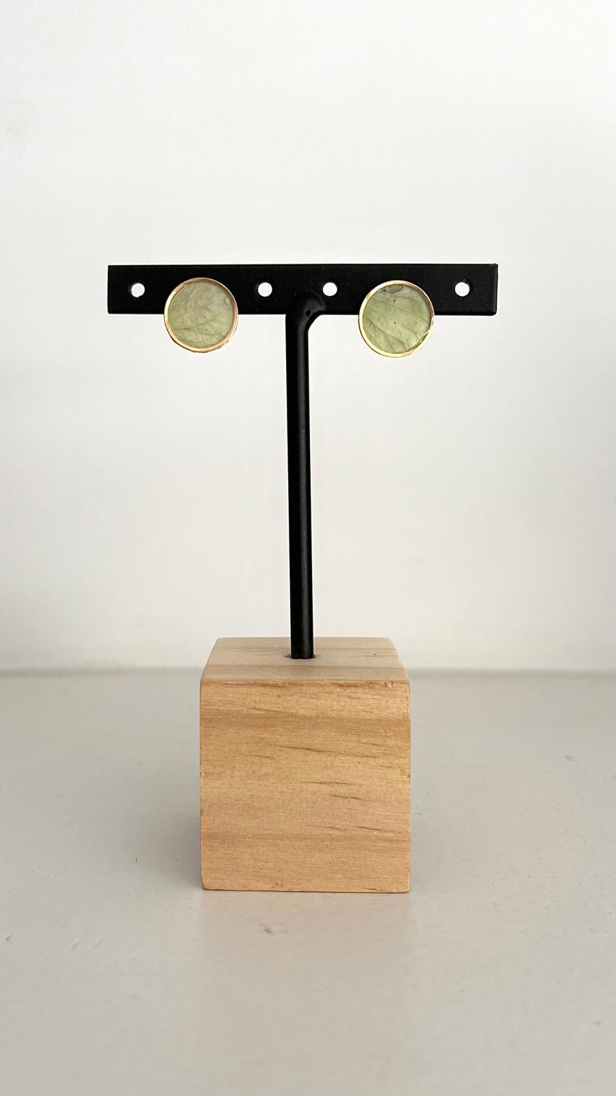 Unique - Hortensia verde