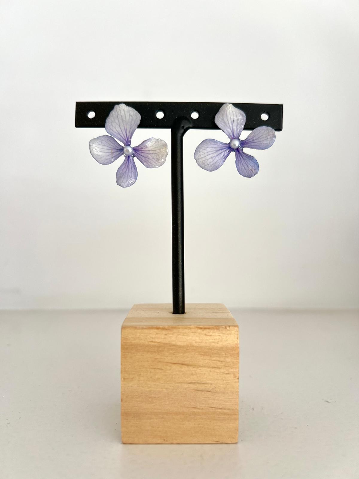 Pretty - Hortensias lilas