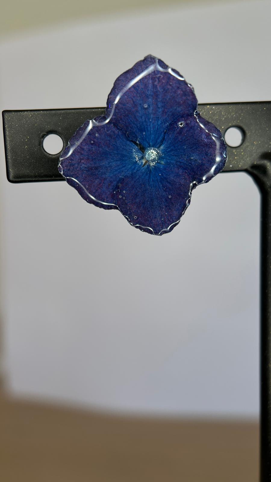 Pretty - Hortensia zafiro 