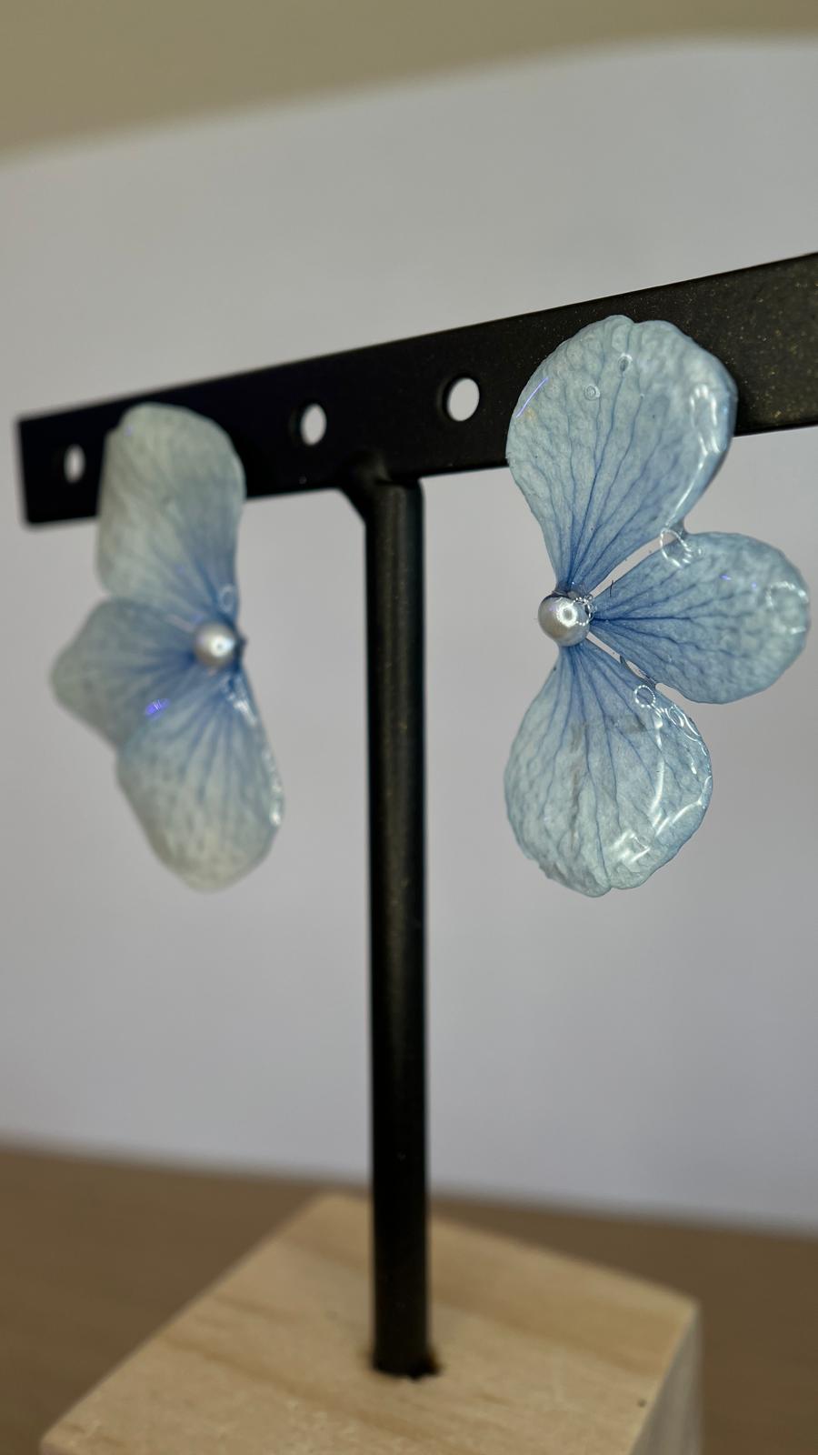 Lonely - Hortensia azul celeste 