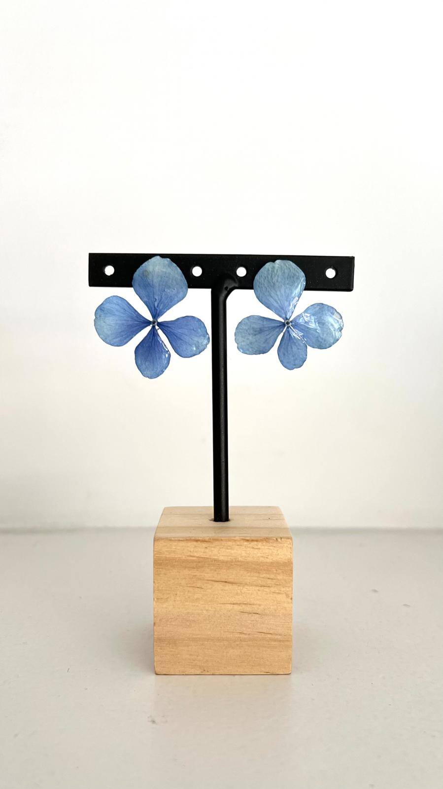 Pretty - Hortensia azul