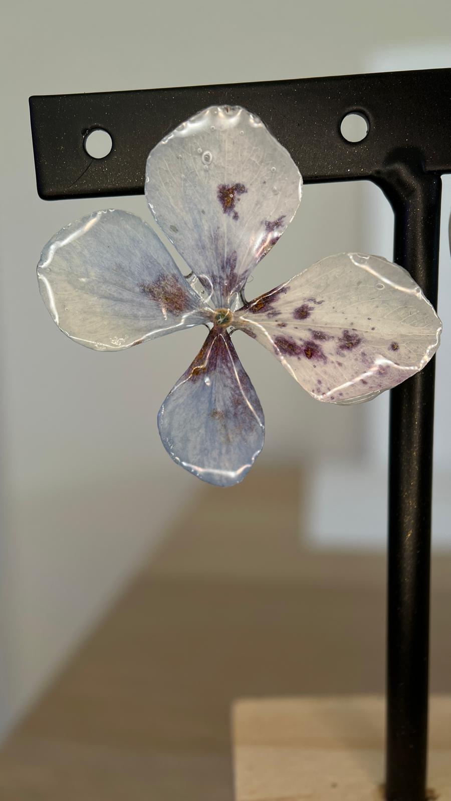 Pretty - Hortensia especial 