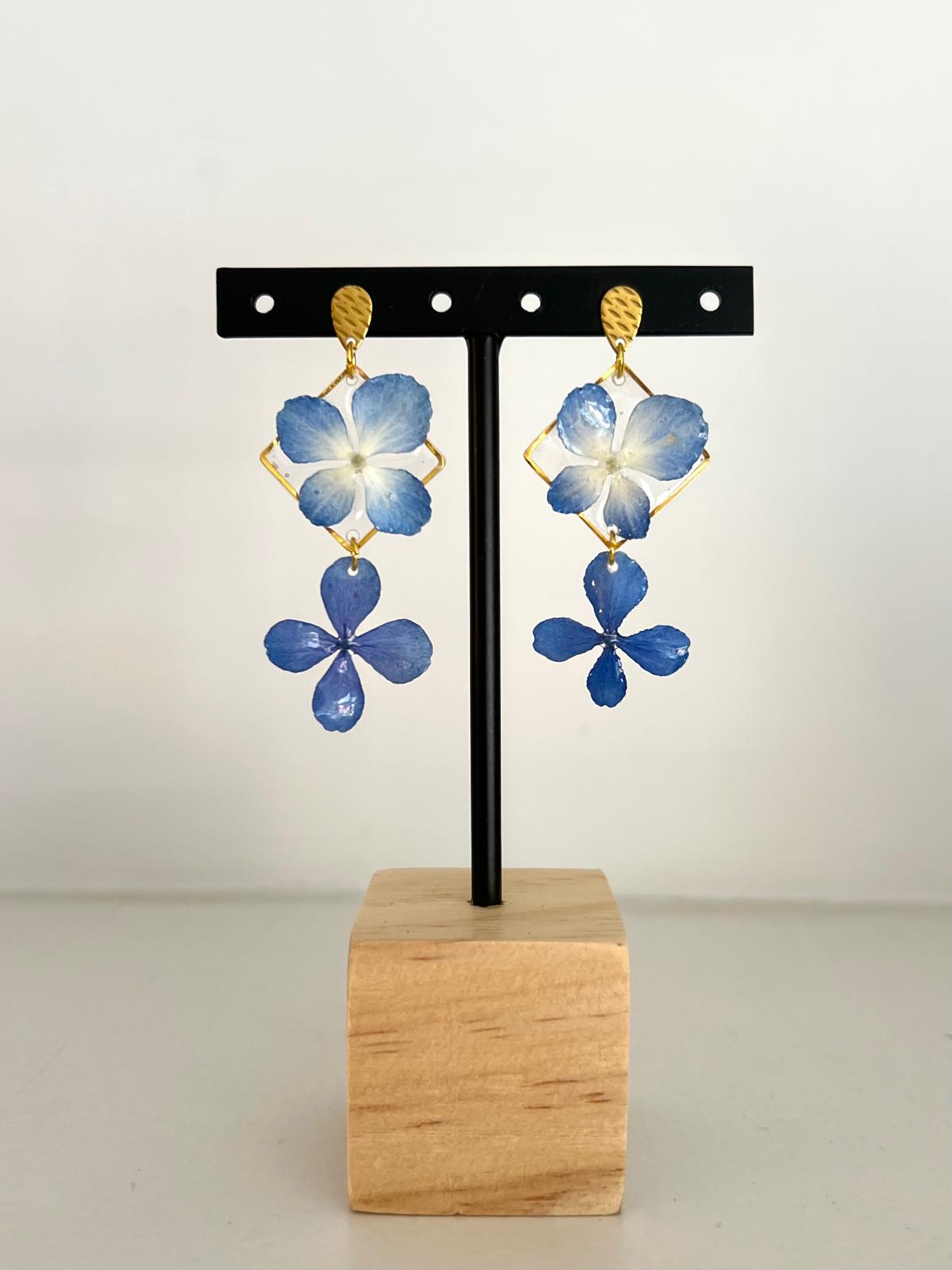 Serenity - Hortensia azul