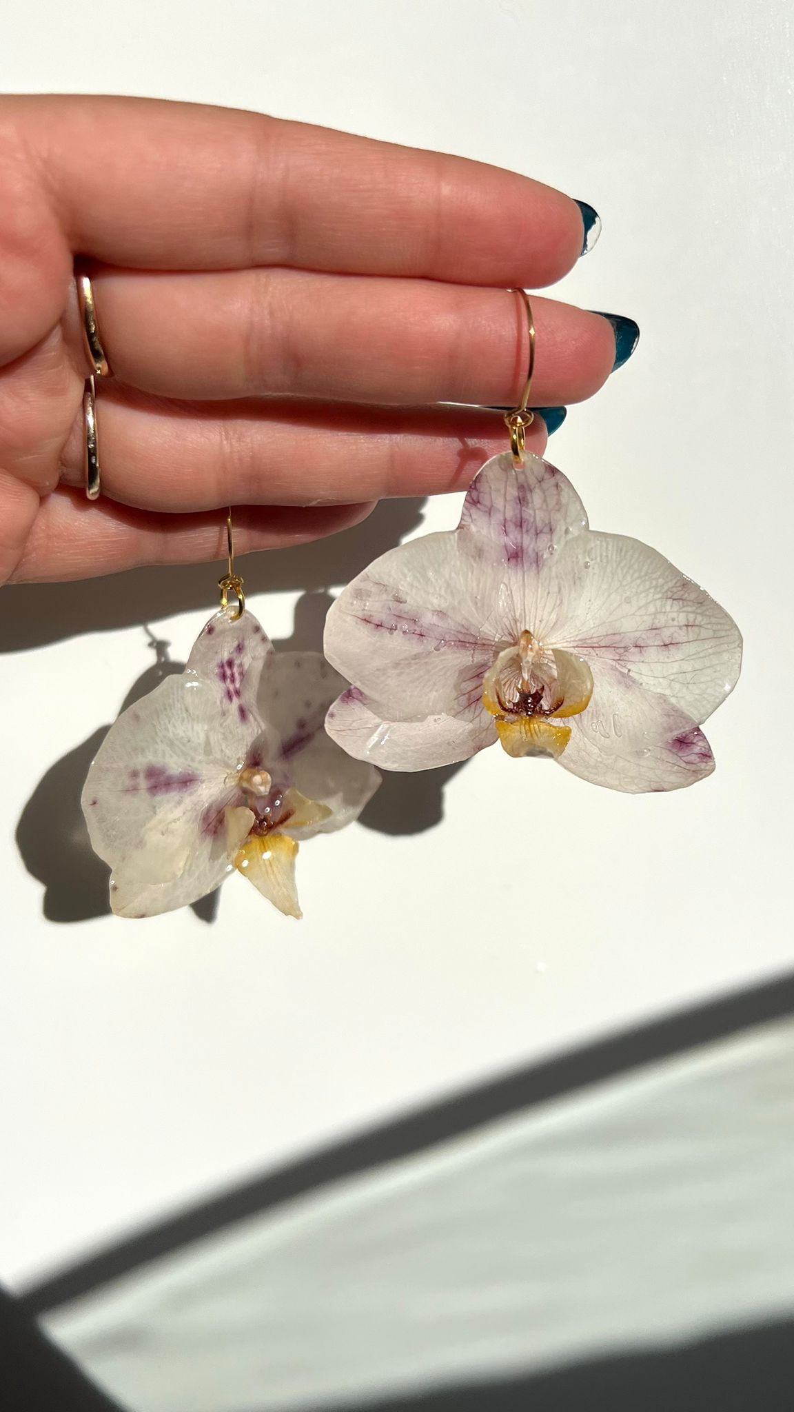 Chandelier - Orquídeas