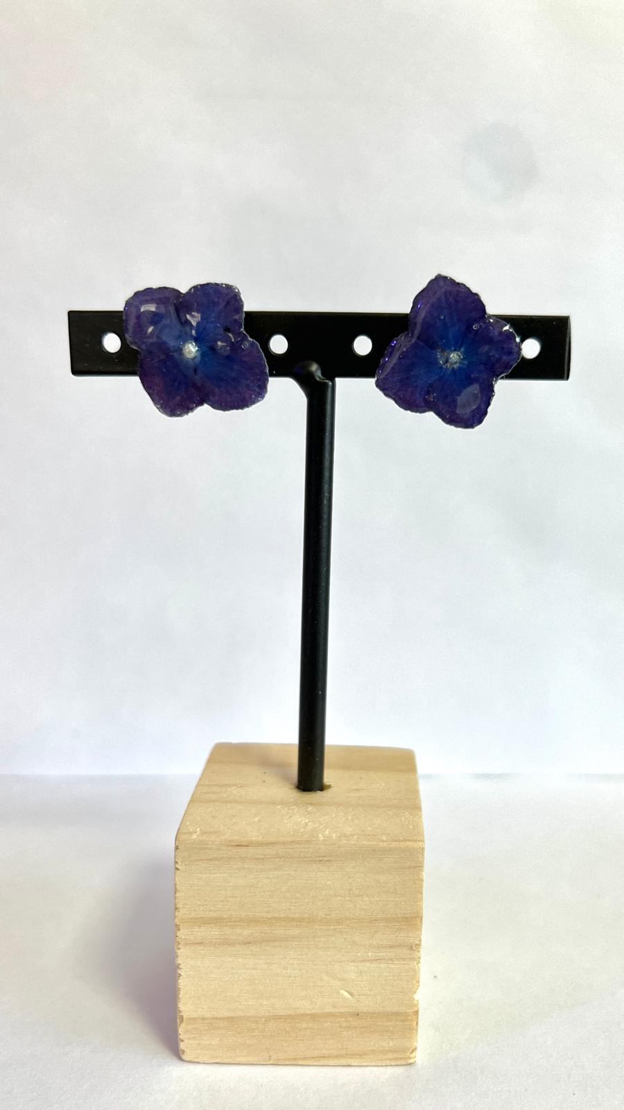 Pretty - Hortensia zafiro