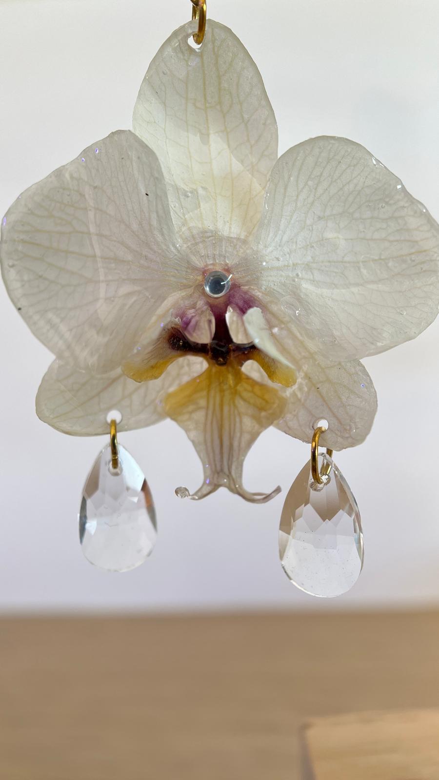 Chandelier - Dos lágrimas