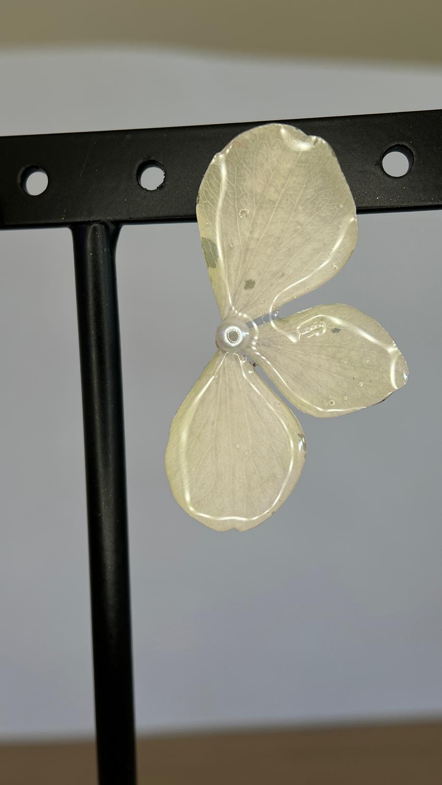 Lonely - Hortensia verde  