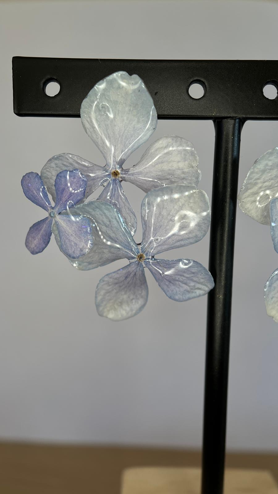 Grace - Hortensia aguamarina 