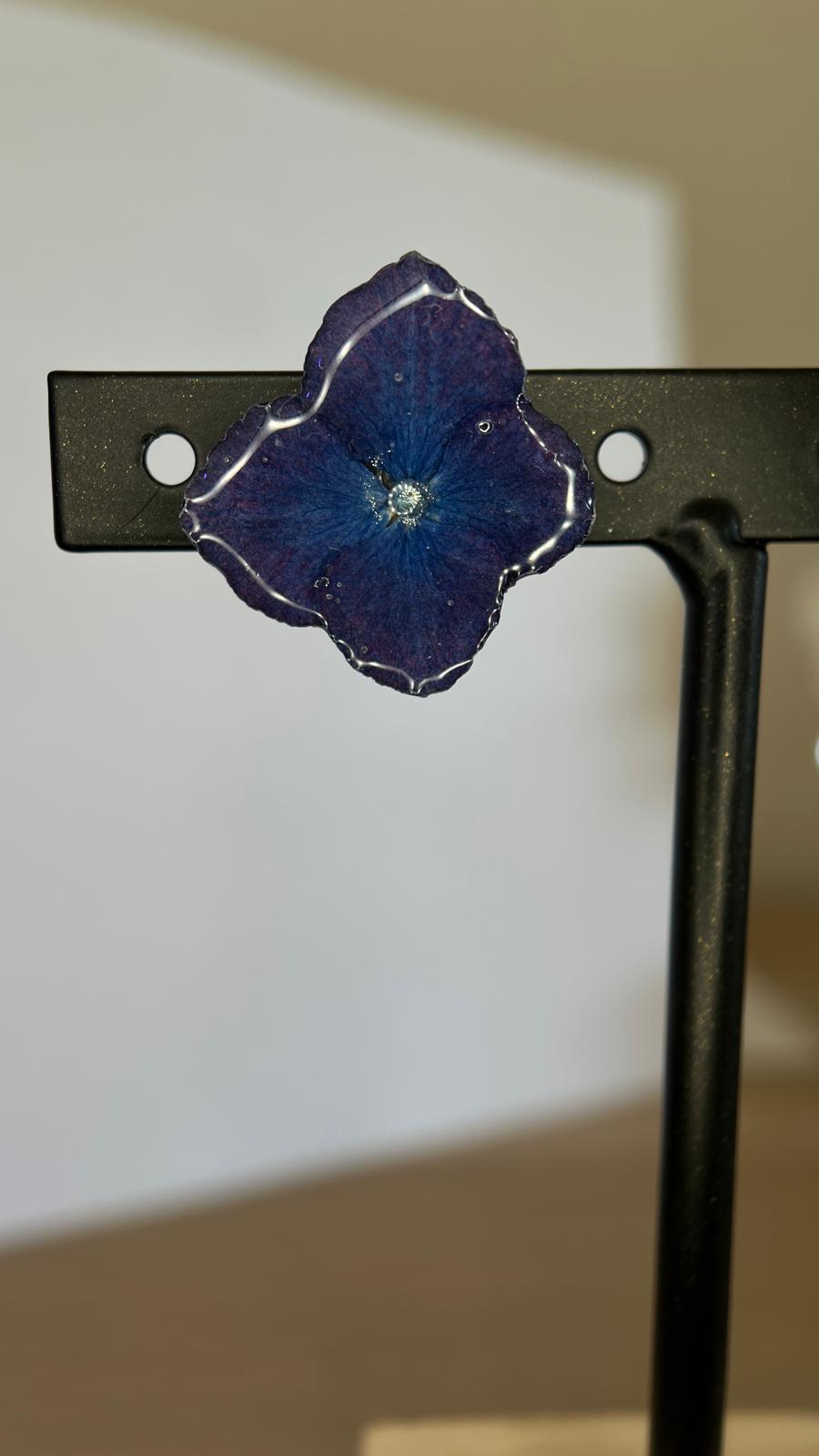 Pretty - Hortensia zafiro 