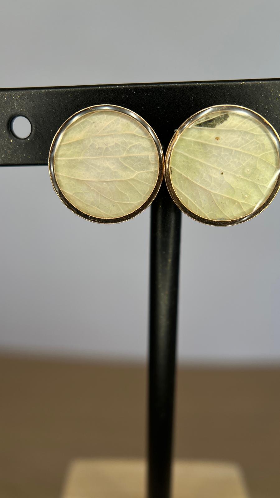 Unique - Hortensia verde 