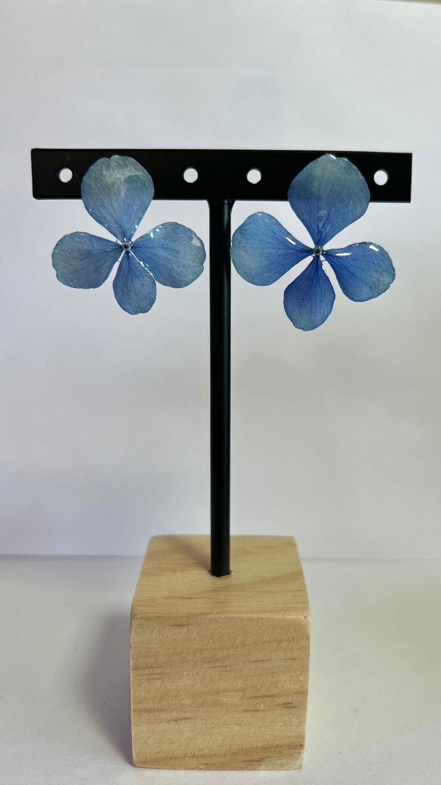 Pretty - Hortensia azul