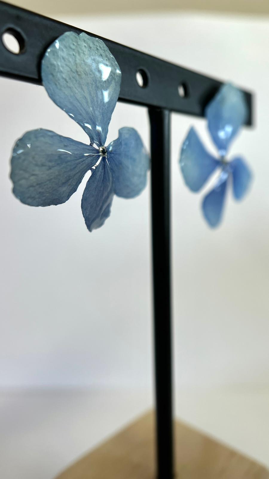 Pretty - Hortensia azul 