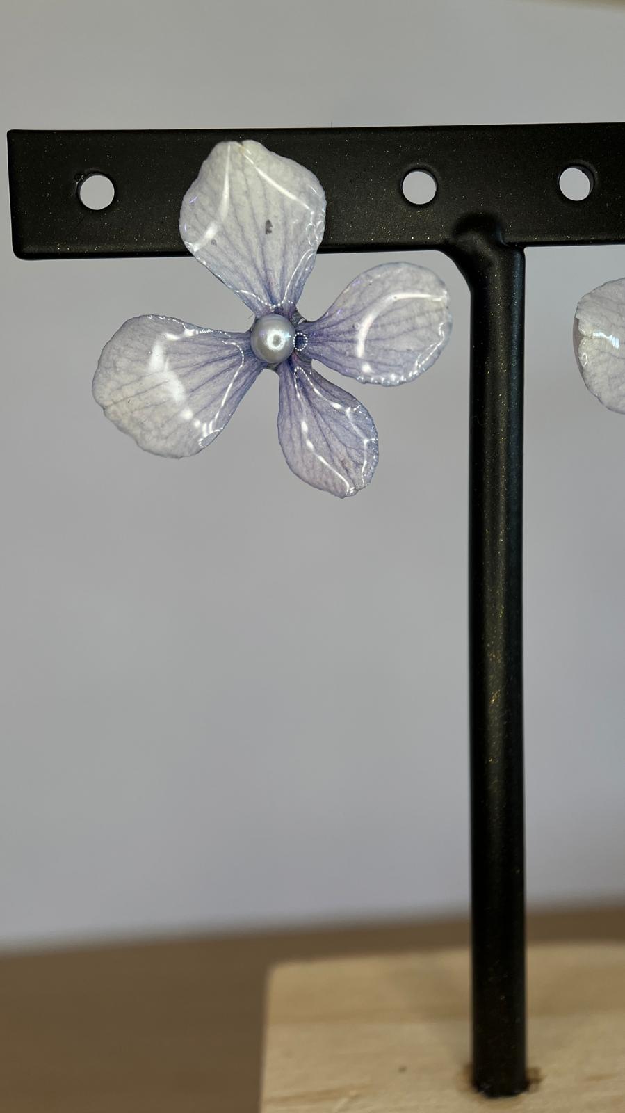 Pretty - Hortensias lilas 